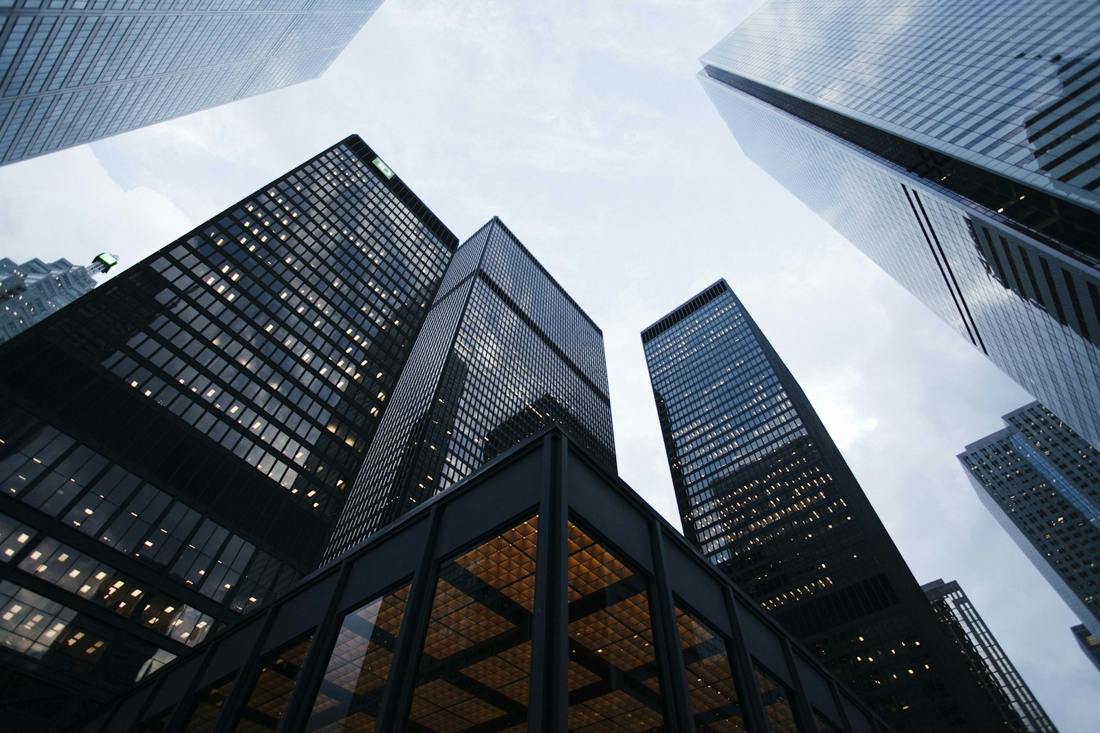 Multi-sector enterprise scenes